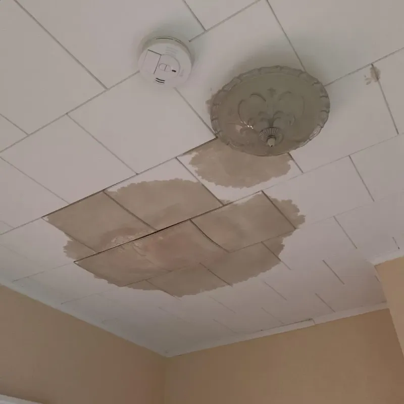 Ceiling Water Damage Repair in Wagner, SD