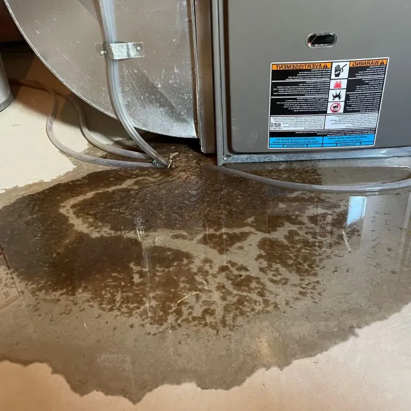 Pipe Burst and Leak Restoration in Wagner, SD