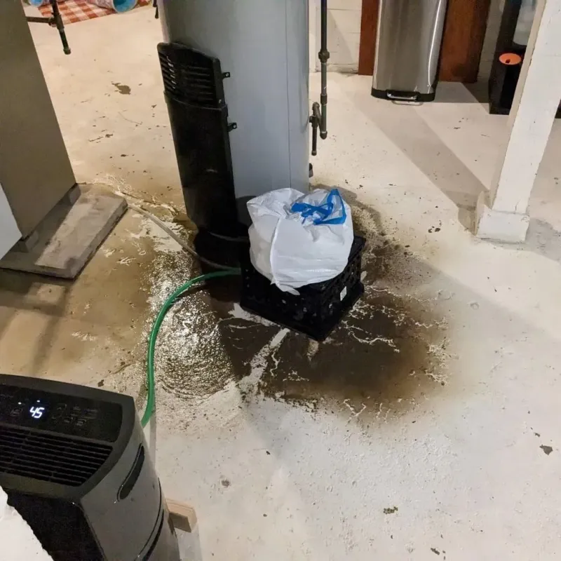 Sewage Backup Cleanup Service in Wagner, SD